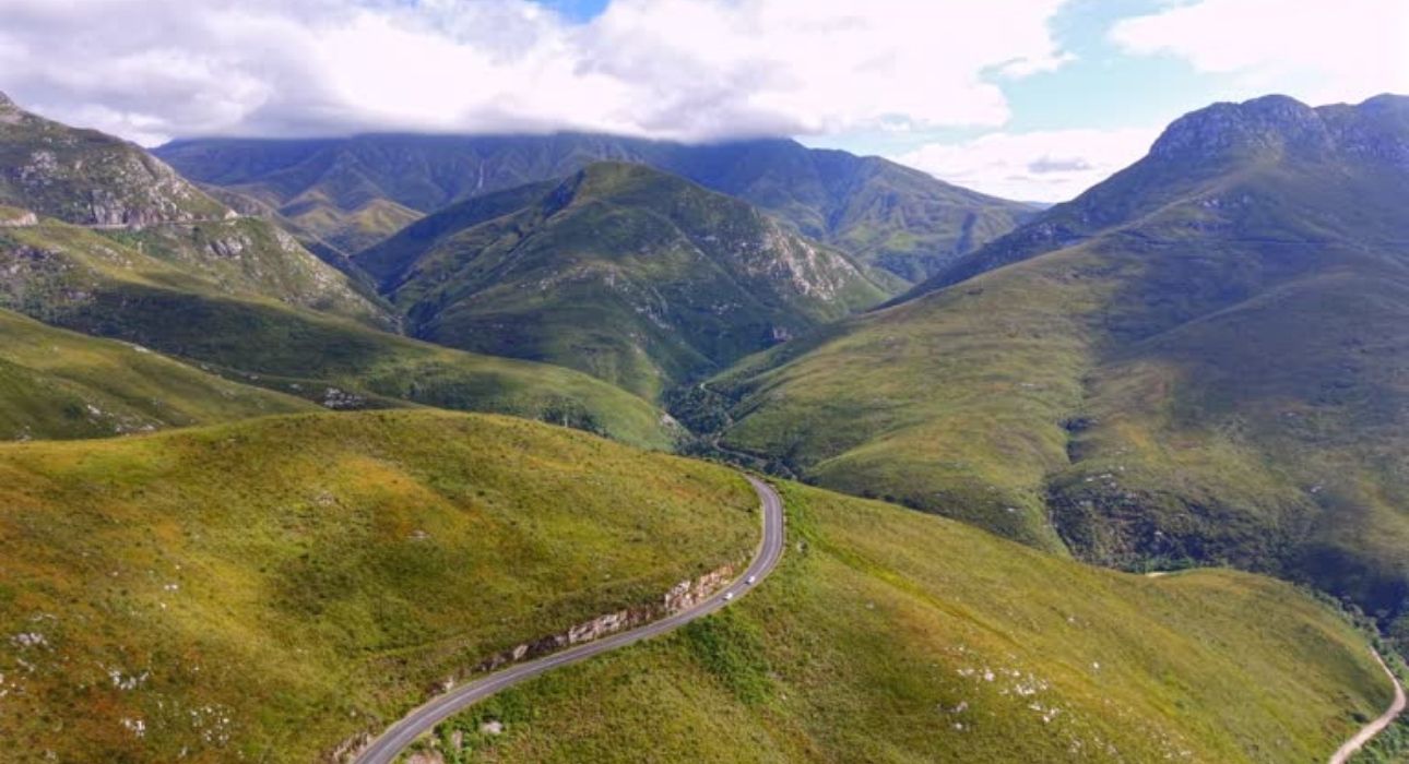 South Africa Signature Safari & Coast Tour