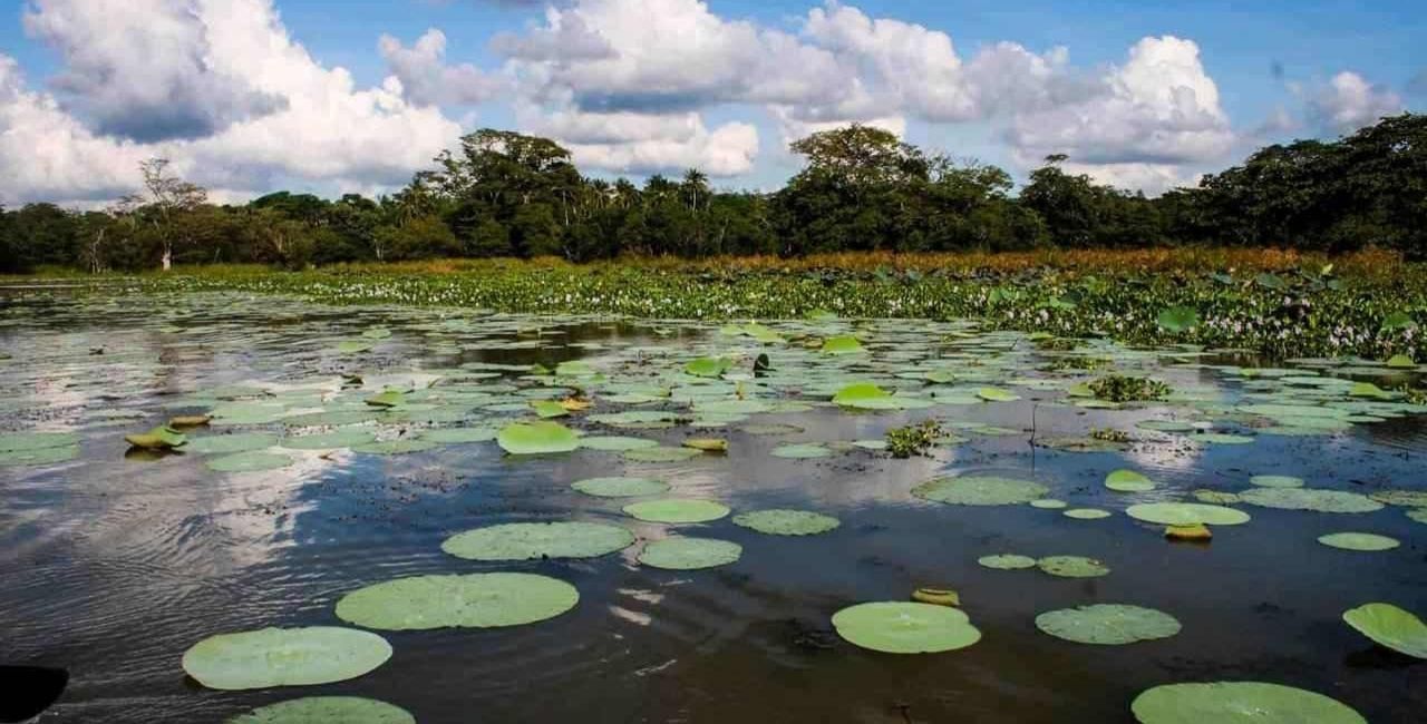 Grand Srilanka Discovery