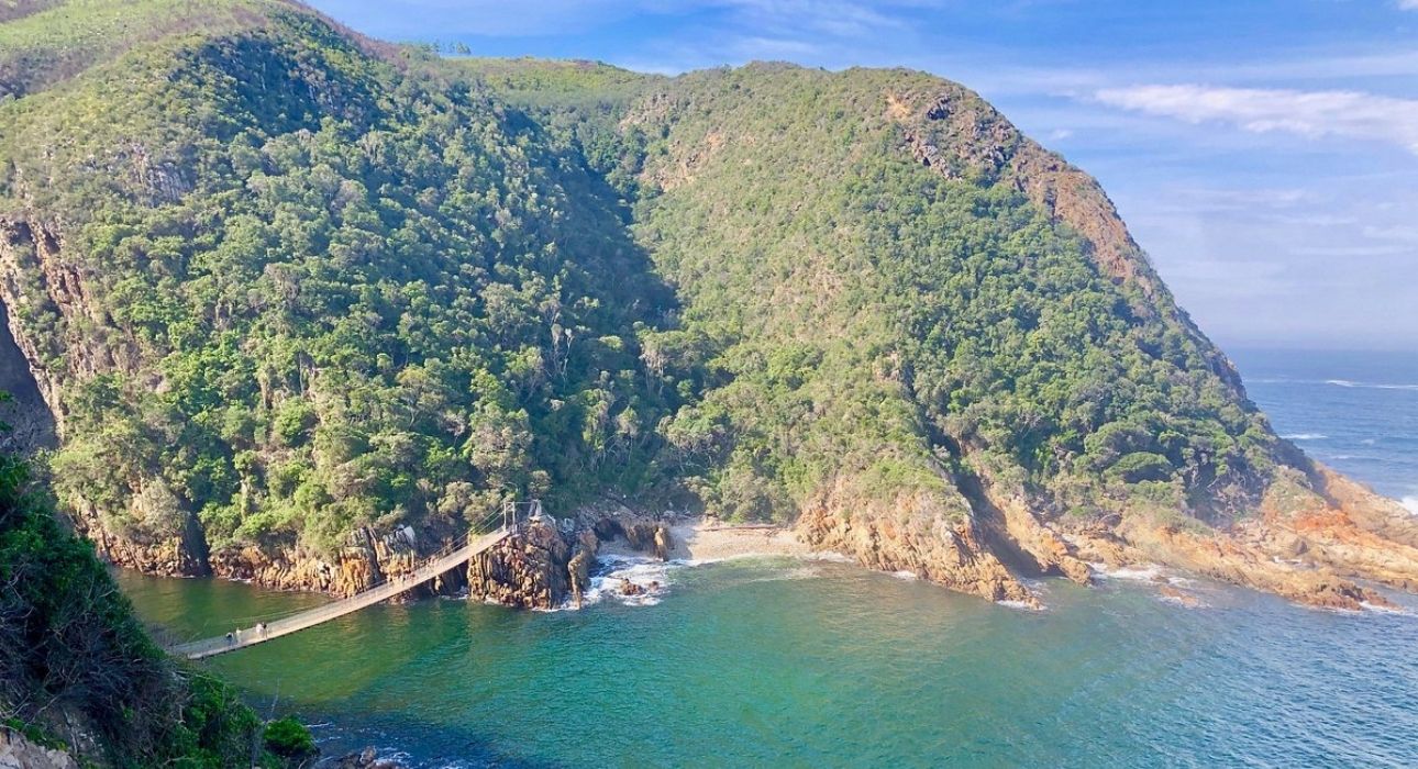 South Africa Signature Safari & Coast Tour