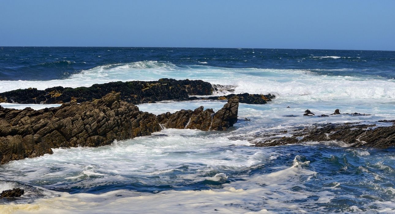 South Africa Signature Safari & Coast Tour