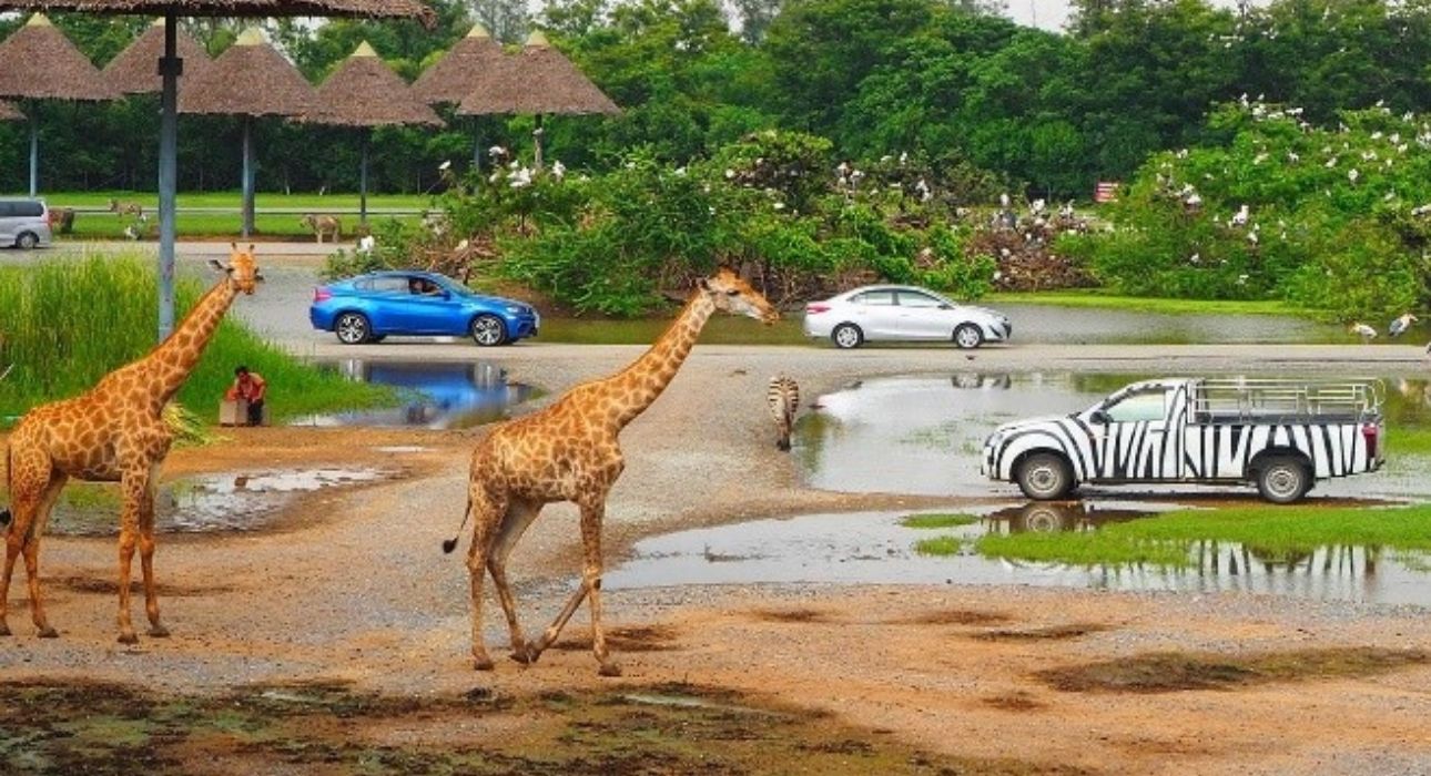 Amazing Thailand Escape – Bangkok & Pattaya