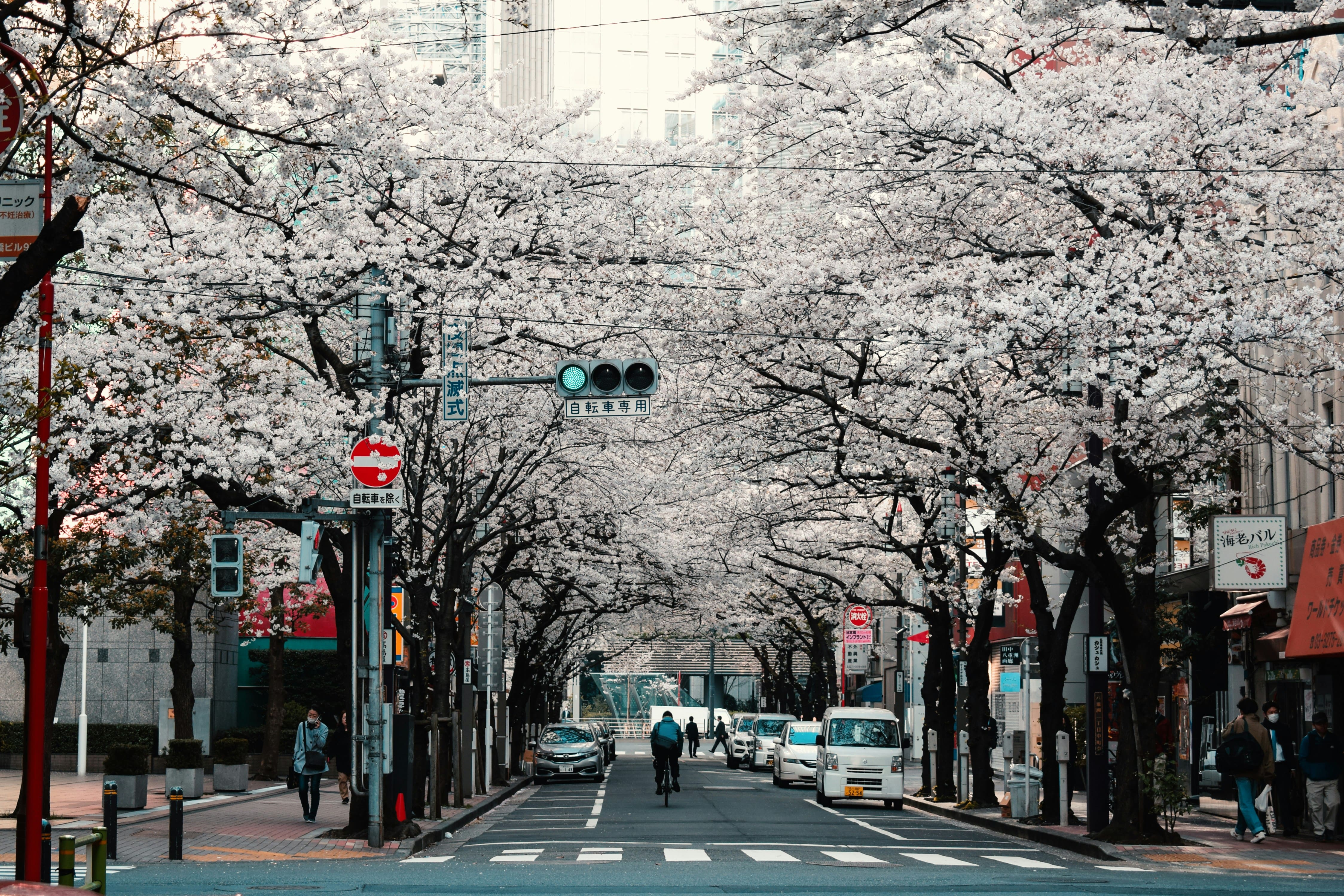 Quintessential Japan