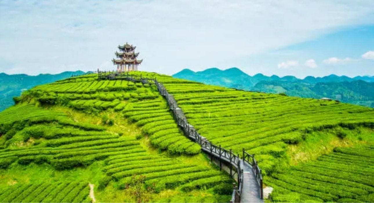 Enchanting Kerala Journey