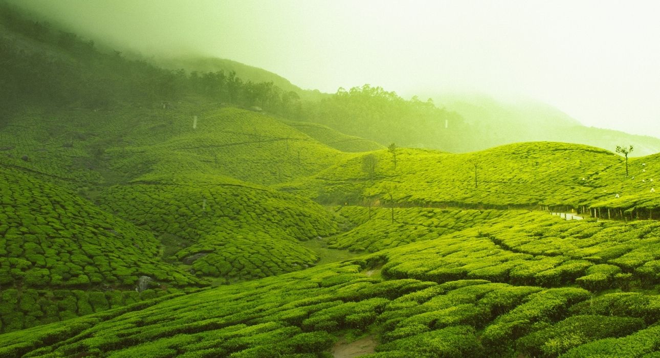 Best of Two Cultures South India (Karnataka & Kerala)