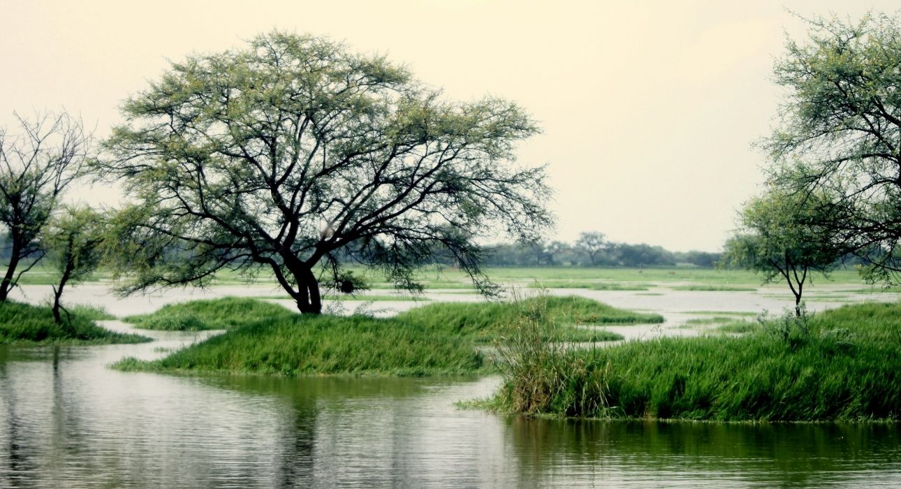 Golden Triangle Tour With Wildlife Trail