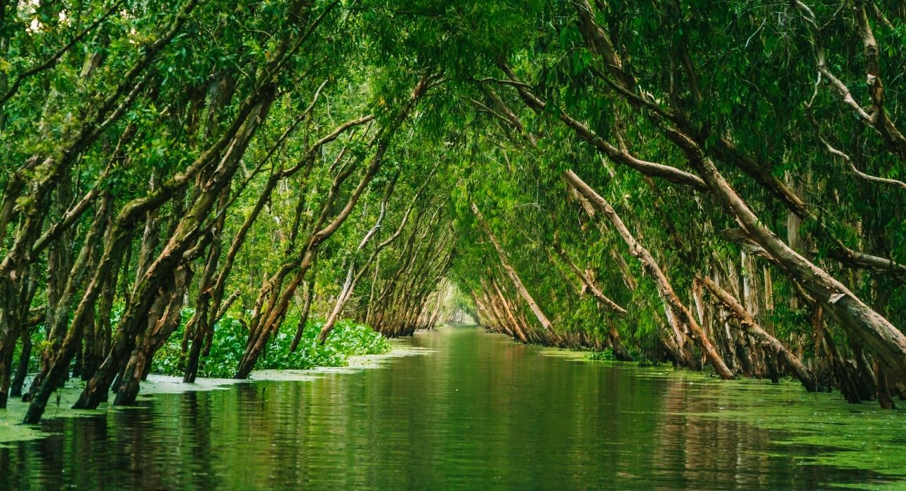 Classic Northern & Southern Vietnam
